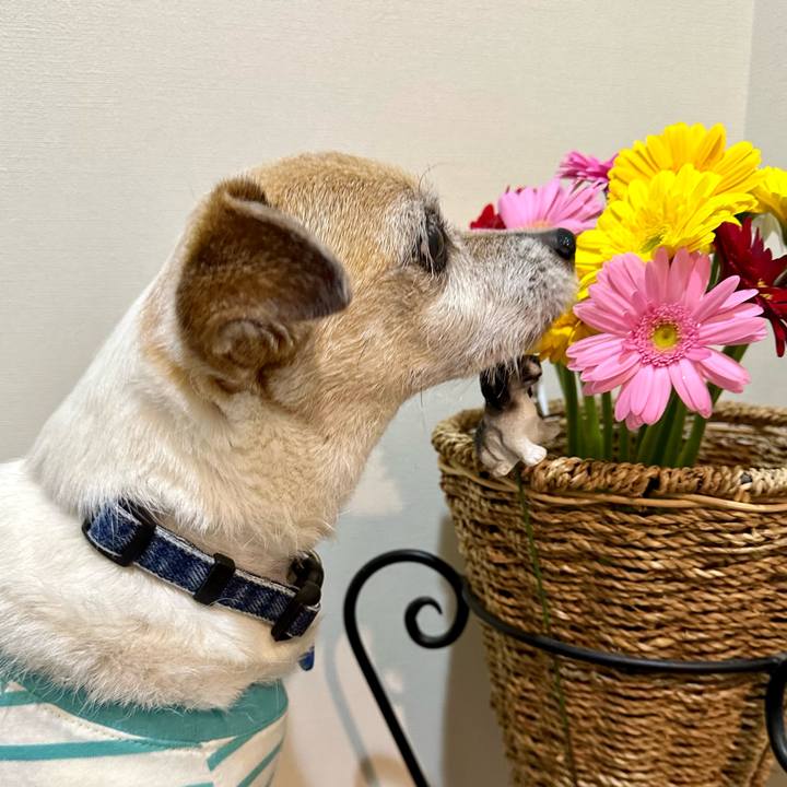 80d755d1 4d8d 4851 be5c d56febb0a1f5 1681357510084