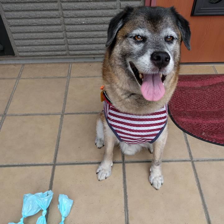 80d75a0e 4b35 41cc abe4 cad7c3425e8e 1531955128881