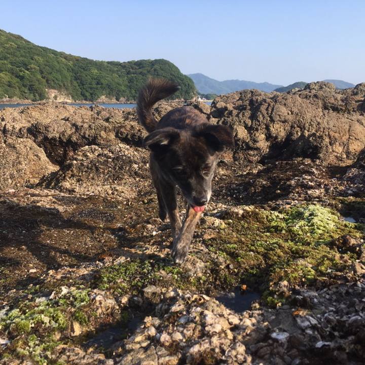 80d77931 afd7 41b5 917c 17af348b8058 1558535269128