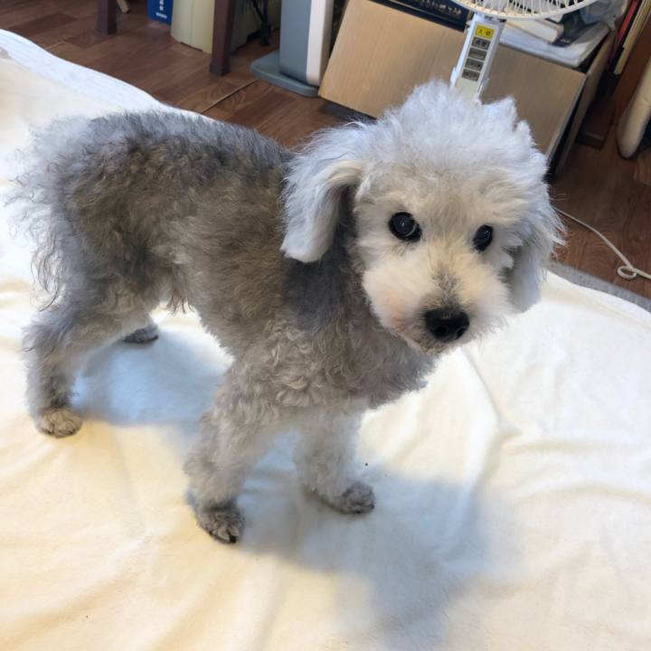 80d78fb1 332a 4290 b29b d47ab2f5529f 1629072661496