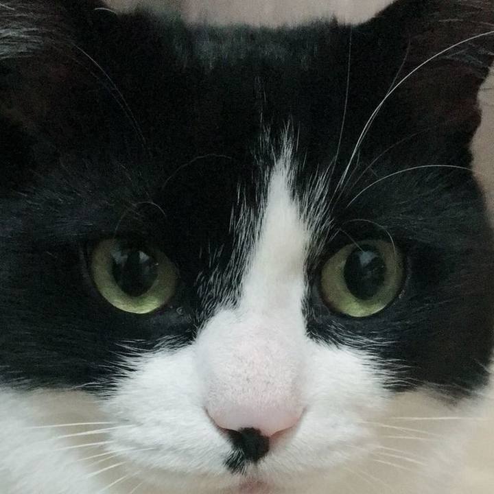 80d7d806 3a0a 4984 8e44 96bcfa5a6bc1 1520690423703