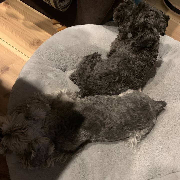 80d801d6 da9a 4aba 9edd 88689faf283c 1675149825572