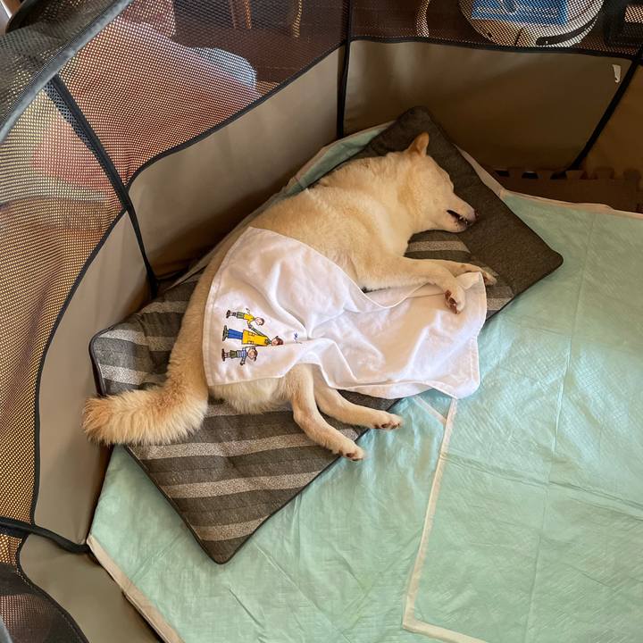 80d81fd8 ab24 4c63 853e b1c0ac1e5045 1651742296049