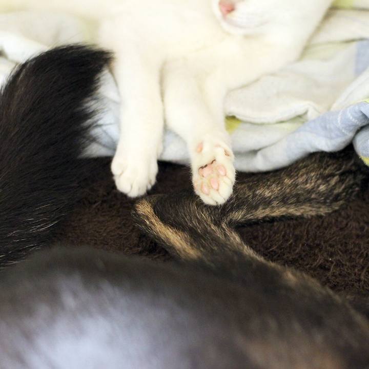 80d87104 2f8d 4842 bfe1 1b17f9ab4f99 1544536672927