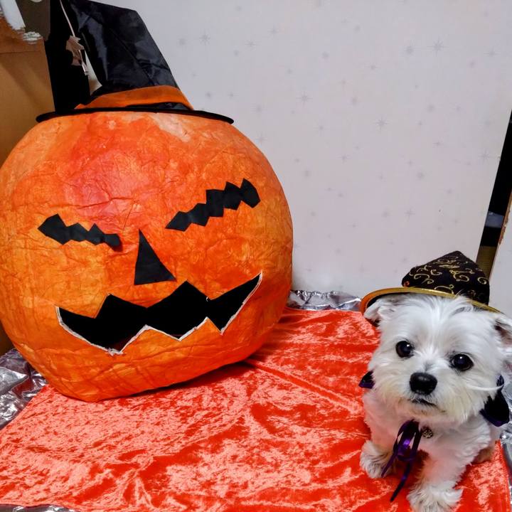 80d88949 db5c 421d b258 2bed0677f566 1730378358804