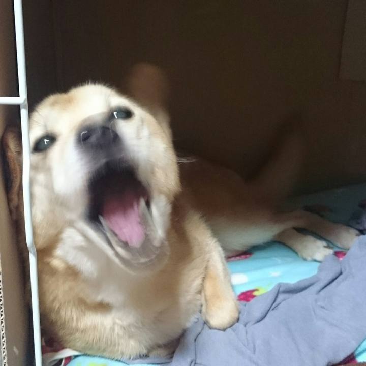 80d8a172 4ffe 4170 b23a 17846bcf09b4 1524968623263