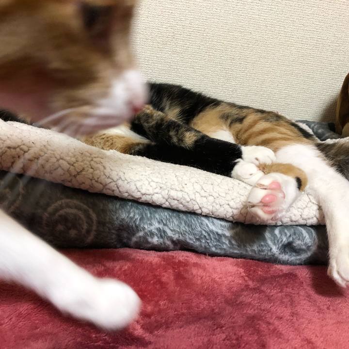 80d8a3b4 f398 48df 8fea 1a442e988e5e 1576580896901