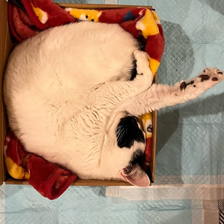 80d8e24a 6f49 469b b04f 2c49fb3794e2 1763070850459