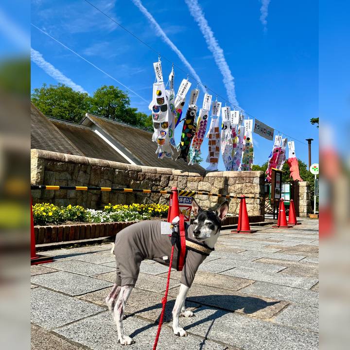 80d90722 9c6e 46e3 a464 581d5b5f2f5c 1651716679259