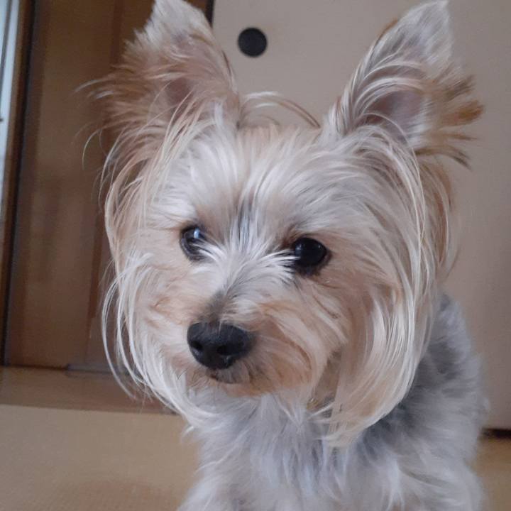 80d92550 0200 4ceb 8717 764b598ccda0 1695186818167