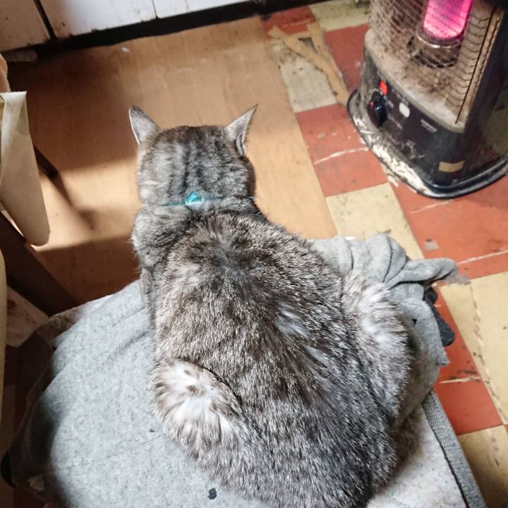 80d937c7 2bd4 4b40 8c33 94243f1d6848 1575410282190