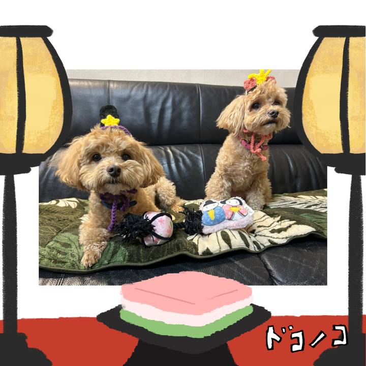 80d95bdb d771 49fa a1ac bb49d97086ca 1741088240218