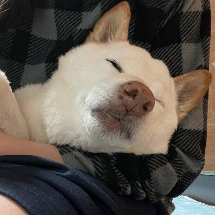 80da14d5 2a25 490e a366 fb12ab305627 1636808159486