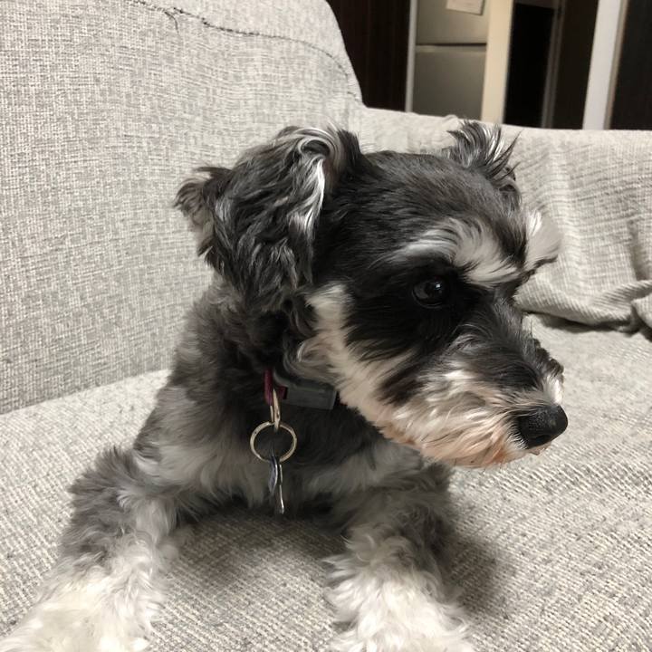 80da7980 45c4 4f12 a5fc 02bfb07256e3 1723116724951