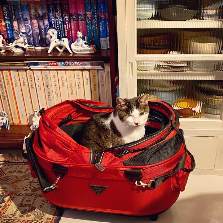 80da9dab cd9c 42ea a35f d89ca18f0edb 1590238576417