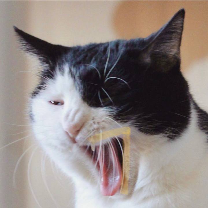 80db0612 1d31 4be1 b66a e7e768e21b7c 1686951265860