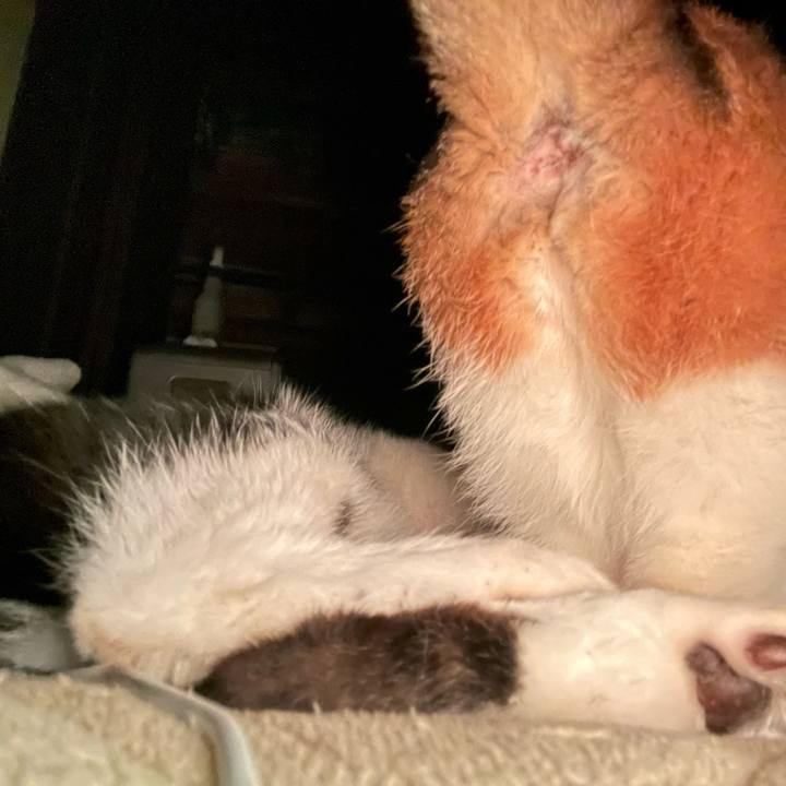 80db1504 eedd 42e8 8c6d 4917f3fd2a67 1682330599269