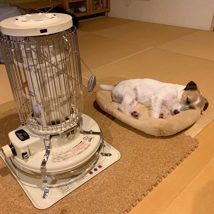 80db4e54 5bcb 42e0 99cd 8a5b27370305 1588019074871