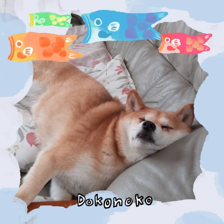 80db55f0 a594 4e45 9a1e b6a6d4f53aa0 1749130928960