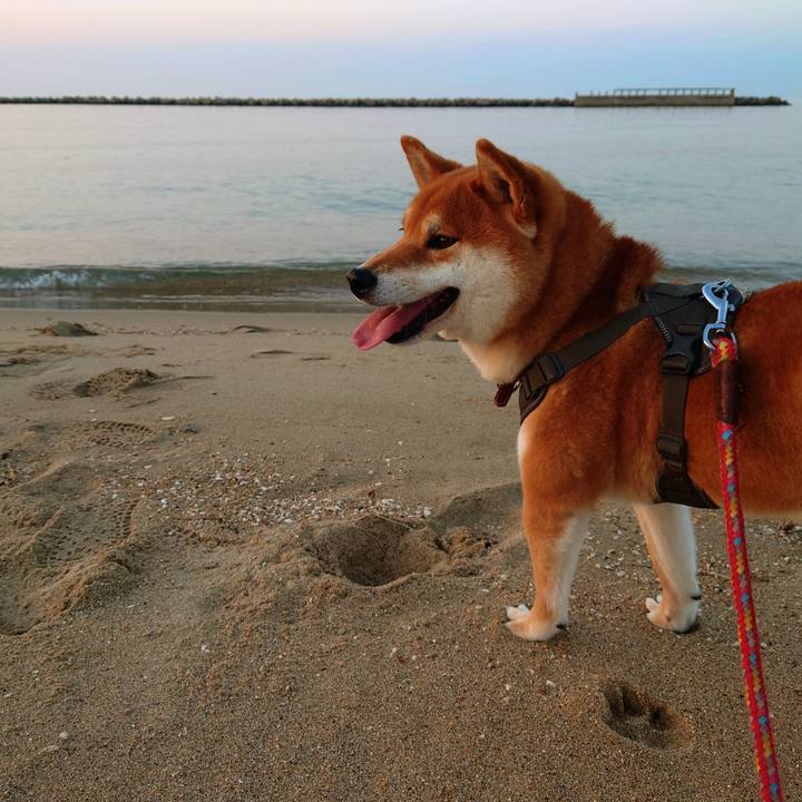 80db5d70 f92d 4f9a af87 56db8ee96ead 1768691830055