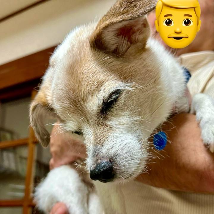 80dba9e8 8ccc 4ce5 b5b1 4dd763ddf478 1758622202832