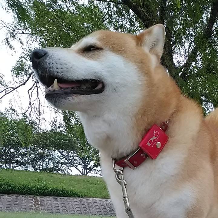 80dbb638 b011 465f a4cf 88e2b7747b8d 1653541610632