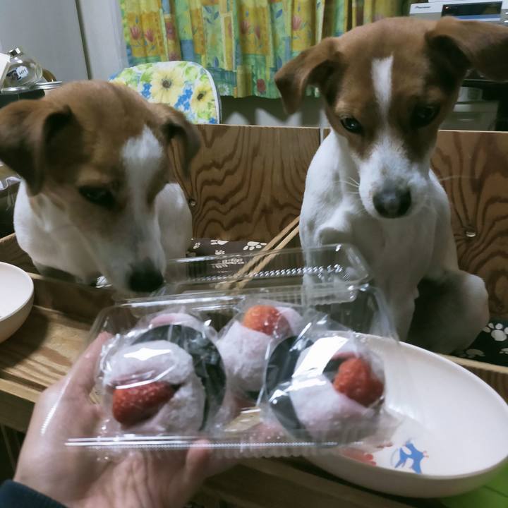 80dbf44b e32f 4eb9 a3fe 24ce4efd33c8 1772783472624