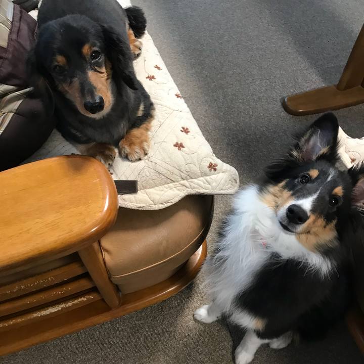 80dc502c f082 4bcf 81de e0e15b1b1594 1517867704989