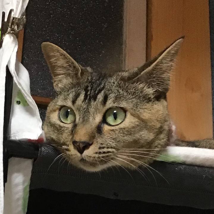 80dcbcfa 3294 41e1 9ae1 bfbf4c8e20a6 1626166266643