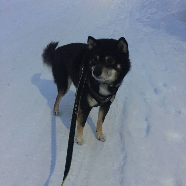 80dd1c48 5fcf 48e4 93cc c34216e838fa 1519860776481