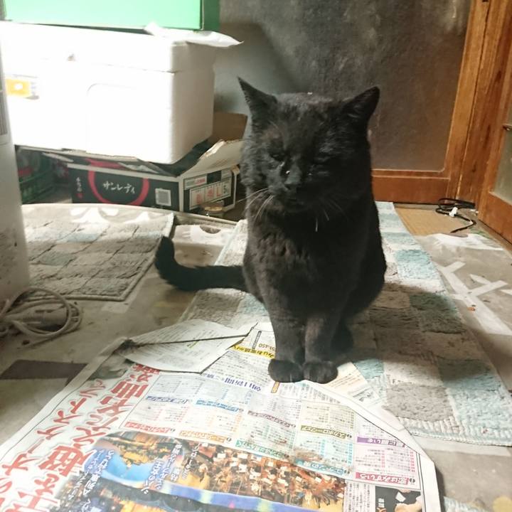 80dd2f8b 8a65 46bd 942e cc786e1cf6f3 1652872857152