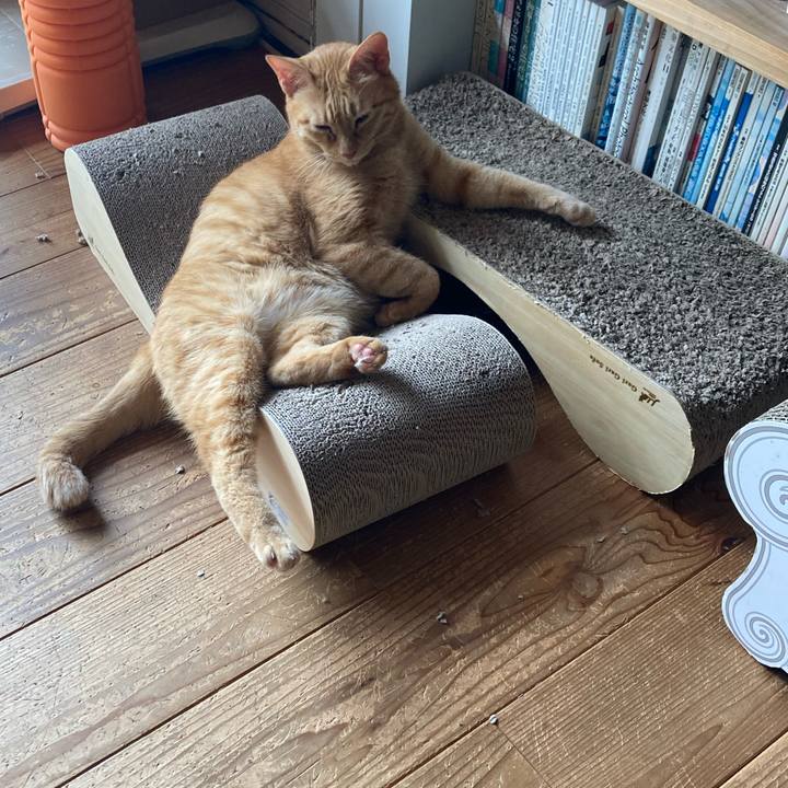 80dd5bb6 9eff 4fff b0aa ea0707e36625 1759583392894