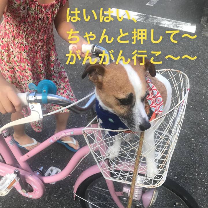 80dd6759 aab1 4f45 b110 d37f749bb0ba 1659226560234