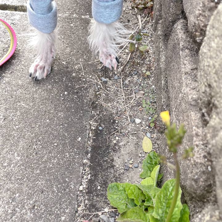 80dd6aff ff48 48ca a480 a94c0f4dff27 1768443818845