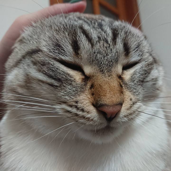 80dda31a 89e2 45d0 a673 308cae0853ad 1557498388191