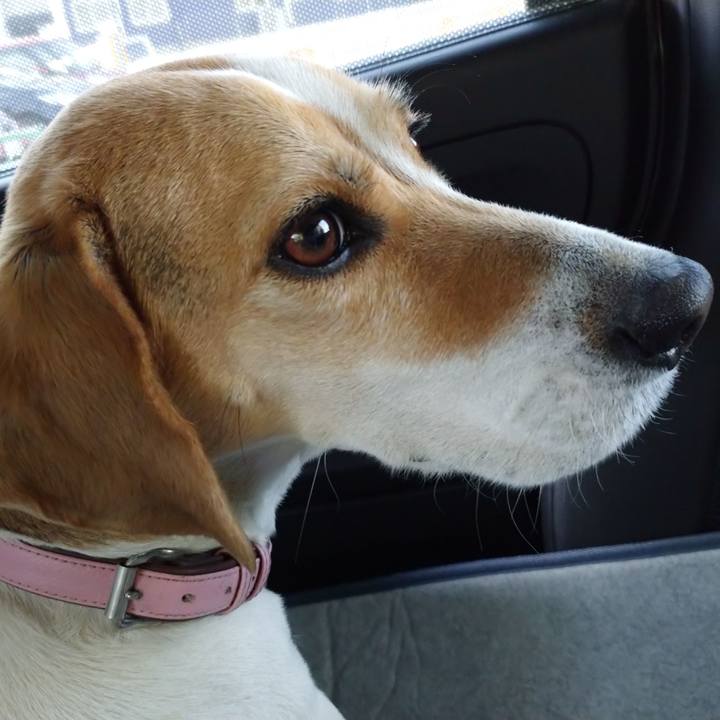 80de0a1b 16d8 4316 9222 b9c0f04b41ff 1586245784718