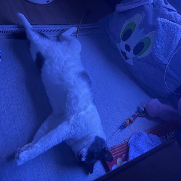 80de198c 5230 4507 9385 1c05c089c661 1754586962298