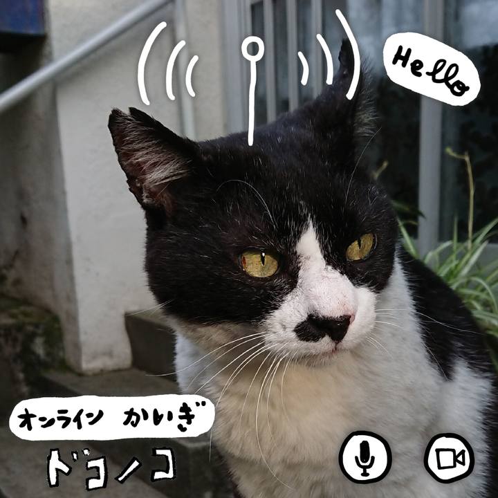 80de5290 bf24 46f6 a9d4 854724624d0b 1590834818646