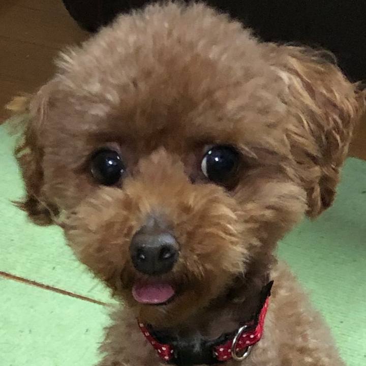 80de70d9 fb4a 40d5 a435 bca03b03083b 1556535540304