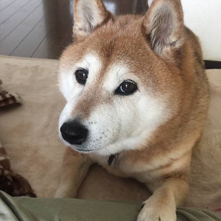 80de7352 c2ed 4490 ac9f 340bb032f3ae 1523764960276