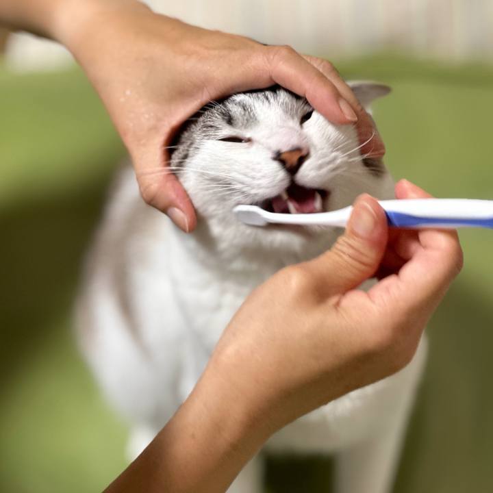 80de757b 8aaf 4164 af0a 3c0e33e89ce7 1686356358248