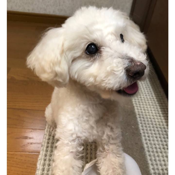 80de7e9d 7c54 41b7 82b4 7844700647b3 1549710050000