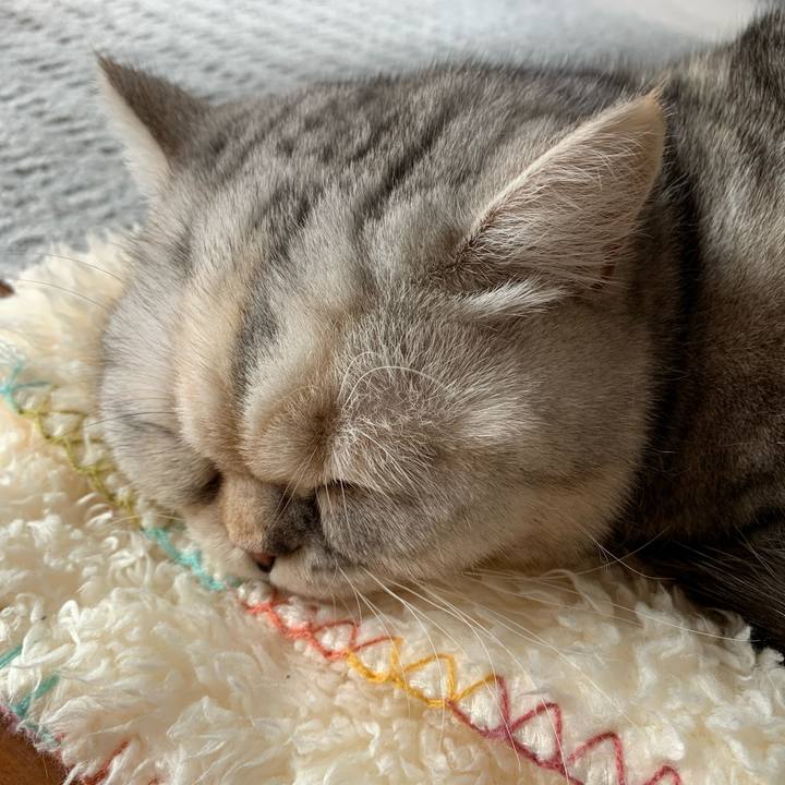 80de8091 0395 48d5 89db ffef97186280 1708832410025