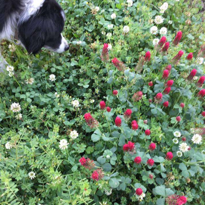 80de83eb 359e 4eef aa8a 8a09e2e59710 1557009516483