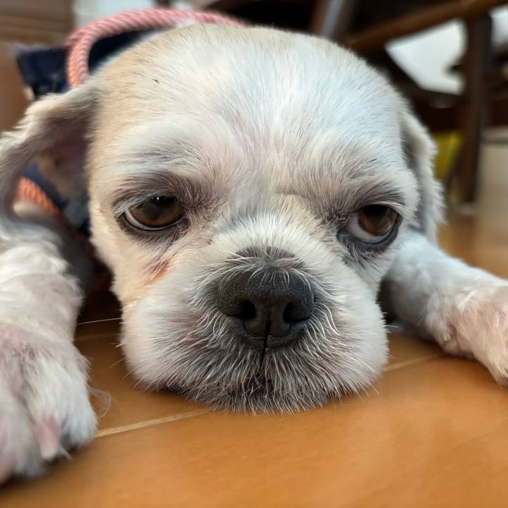 80deac00 e7ad 4678 b067 a19878e667c0 1756072290557