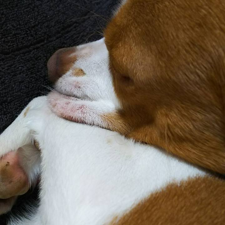 80dec524 431c 4bb3 9b96 43be8fa25899 1520346983217