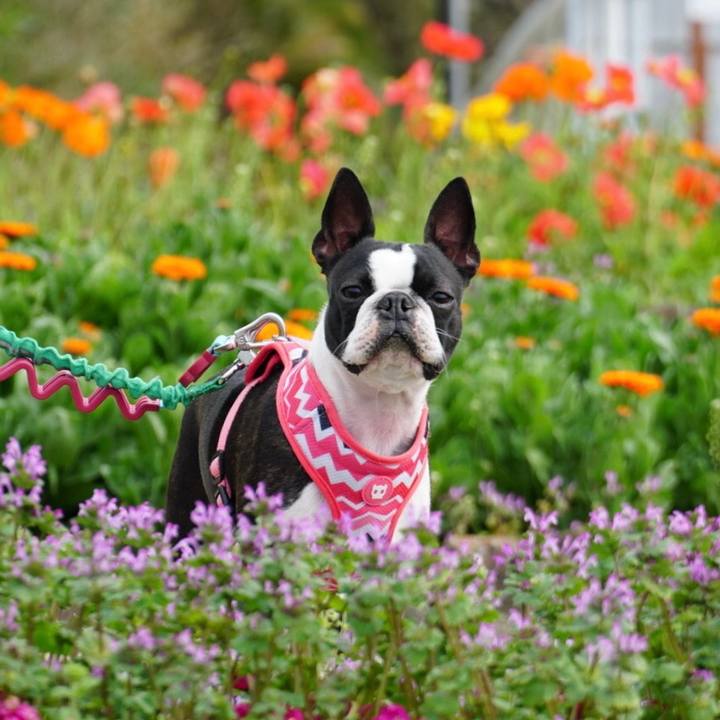 80df004f d960 44c5 a7f7 9e7a7cbaf324 1553337736391