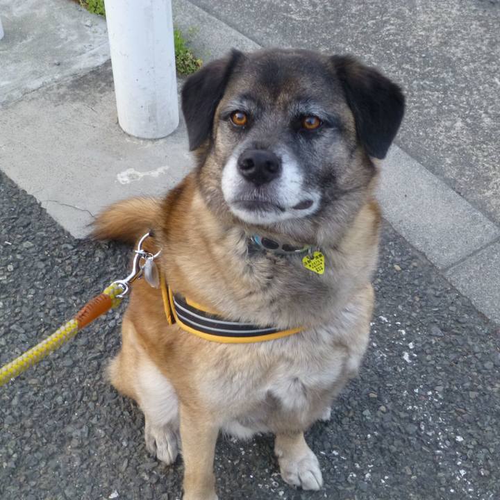 80df0bd7 8eea 433b b3fa 16916acfb160 1579860380360