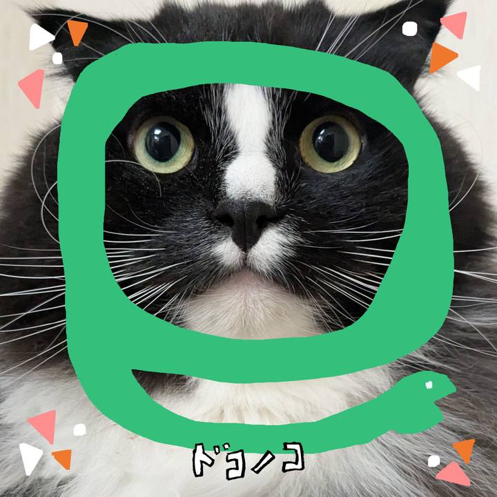 80df25b0 4c0c 4b02 bd1a 4ee680a2c1b5 1741058847877