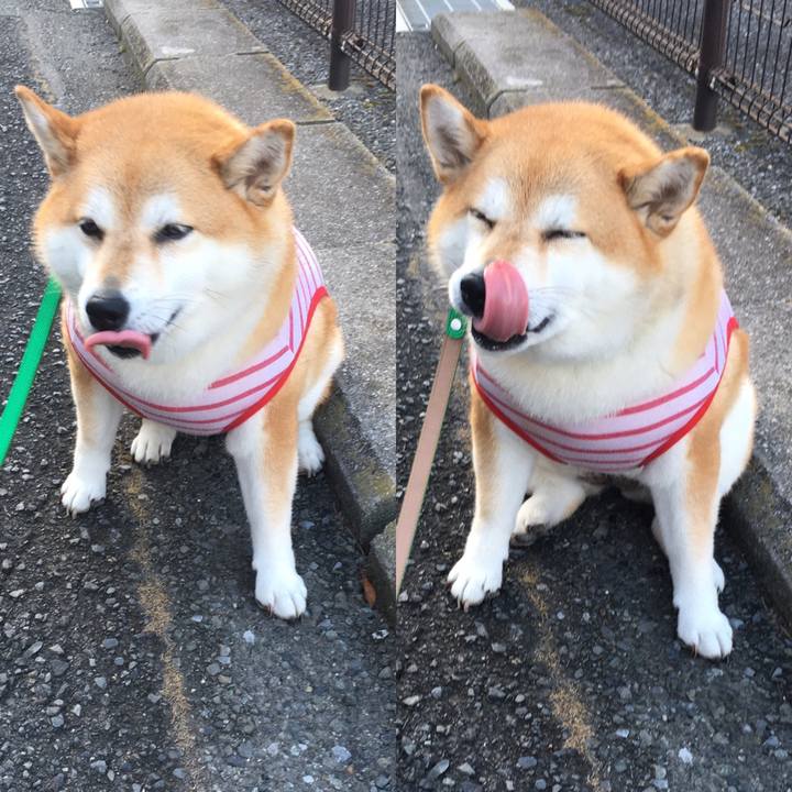 80df2c67 13fa 4e9d b64c fb58fb78d9a8 1597875943450